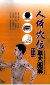 人体穴位取穴图解 封面