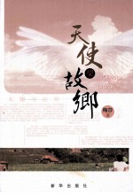 天使望故乡 封面
