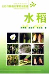 大田作物病虫害防治图谱  水稻 封面