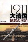 1991大清国是在没的 封面