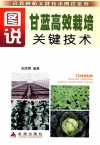 图说甘蓝高效栽培关键技术 封面