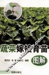 蔬菜嫁接育苗图解 封面