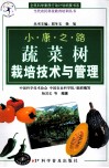 蔬菜树栽培技术与管理 封面