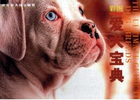 彩图爱犬宝典 封面