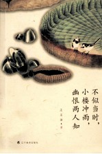 不似当时，小楼冲雨，幽恨两人知 封面