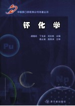 钚化学 封面