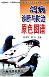 鸽病诊断与防治原色图谱 封面
