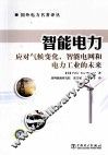 智能电力  应对气候变化智能电网和电力工业的未来 封面