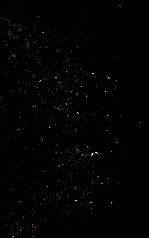 星云禅语  第1辑 封面