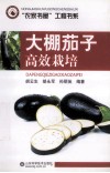 大棚茄子高效栽培 封面
