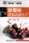 甜樱桃优质高效生产 封面