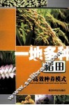 一地多种稻田高效种植模式 封面