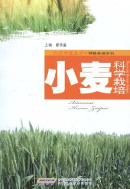 小麦科学栽培 封面