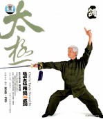陈式太极  精简36式剑 封面
