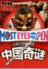 让你大开眼界的中国奇谜 封面