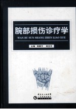 腕部损伤诊疗学 封面