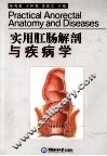 实用肛肠解剖与疾病学 封面