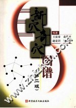 新穴奇穴图谱 封面