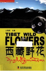 西藏之美  西藏野花 封面