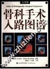 骨科手术入路图谱  实用版 封面