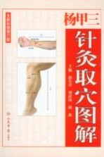 杨甲三针灸取穴图谱  全新彩图修订版 封面