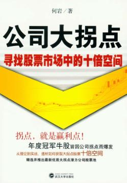 公司大拐点  寻找股票市场中的十倍空间 封面