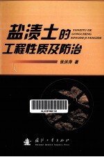 盐渍土的工程性质及防治 封面