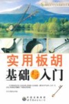 实用板胡基础与入门 封面