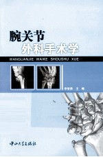 腕关节外科手术学 封面