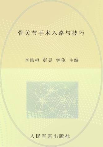 骨关节手术入路与技巧 封面