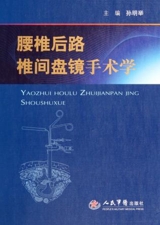 腰椎后路椎间盘镜手术学 封面