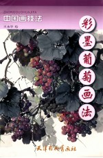 彩墨葡萄画法 封面