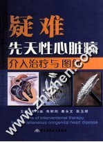 疑难先天性心脏病介入治疗与图解 封面