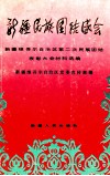 新疆民族团结盛会  新疆维吾尔自治区第二次民族团结表彰大会材料选编 封面