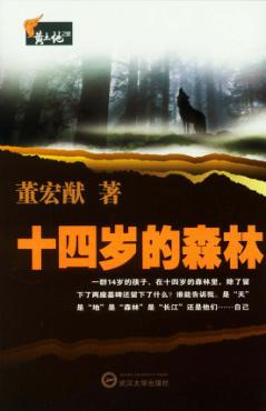 黄土地之歌  14岁的森林 封面