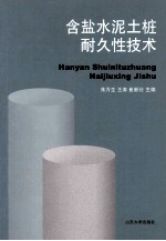 含盐水泥土桩耐久性技术 封面
