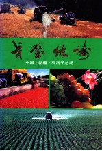 戈壁绿涛  中国·新疆·石河子总厂  1950-1990 封面