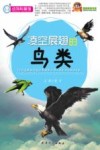 凌空展翅的鸟类 封面