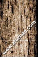 中国医学约编十种 封面