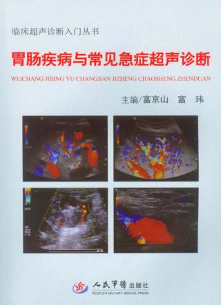 胃肠疾病与常见急症超声诊断 封面