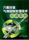 六氟化硫气体回收处理技术培训教材 封面
