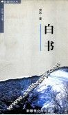 白书 封面