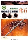 青少年应该知道的化石 封面