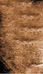 歲功典  卷56-61 封面