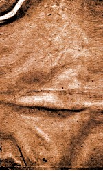 闺媛典  卷23-28 封面