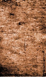 闺媛典  卷106-113 封面