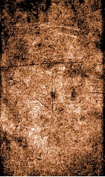 闺媛典  卷139-145 封面