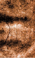 闺媛典  卷152-159 封面