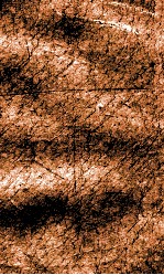 闺媛典  卷203-208 封面