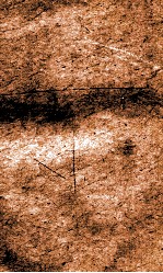 闺媛典  卷223-229 封面